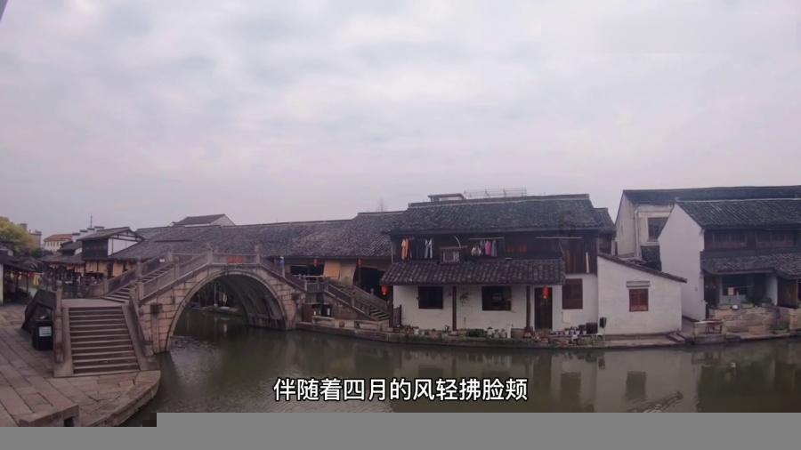救援大胡子斗士